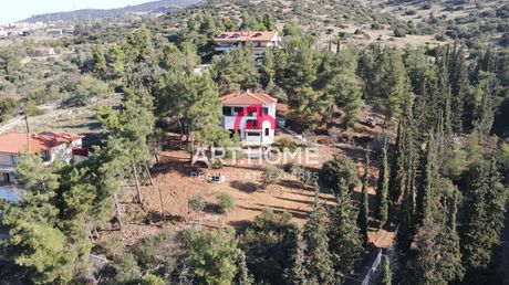 Μονοκατοικία 223 τ.μ. για πώληση