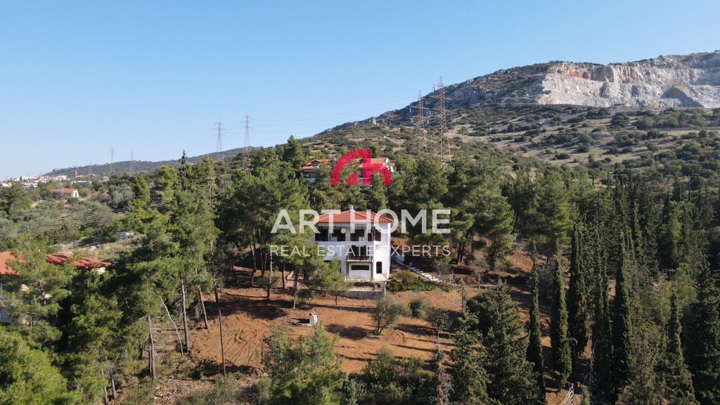 Μονοκατοικία 223 τ.μ. προς πώληση, Κέντρο Πεύκων