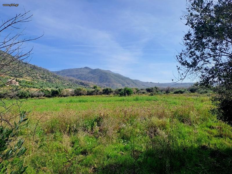 Αγροτεμάχια 4.500 τ.μ. προς πώληση, Ροβιές