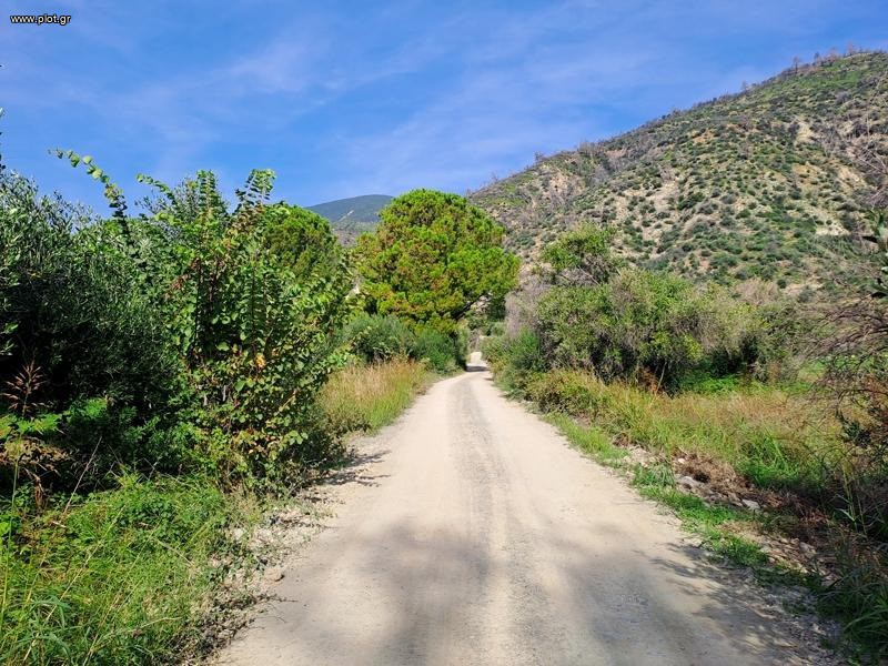 Αγροτεμάχια 4.500 τ.μ. προς πώληση, Ροβιές