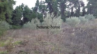 Parcel 8.800 sqm for sale