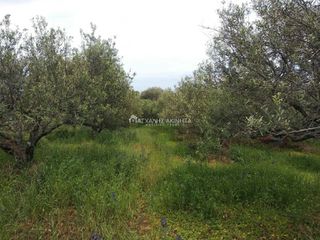 Οικόπεδο 818 τ.μ. για πώληση
