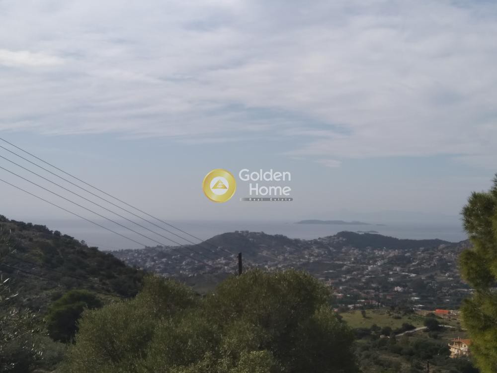 Οικόπεδο 4.700 τ.μ. προς πώληση, Λαγονήσι