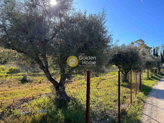 Parcel 11.000 sqm for sale, Achaia, Tritaia