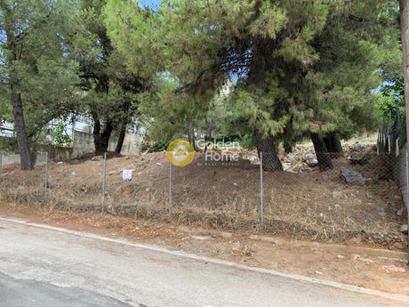 Land plot 800sqm for sale-Drosia