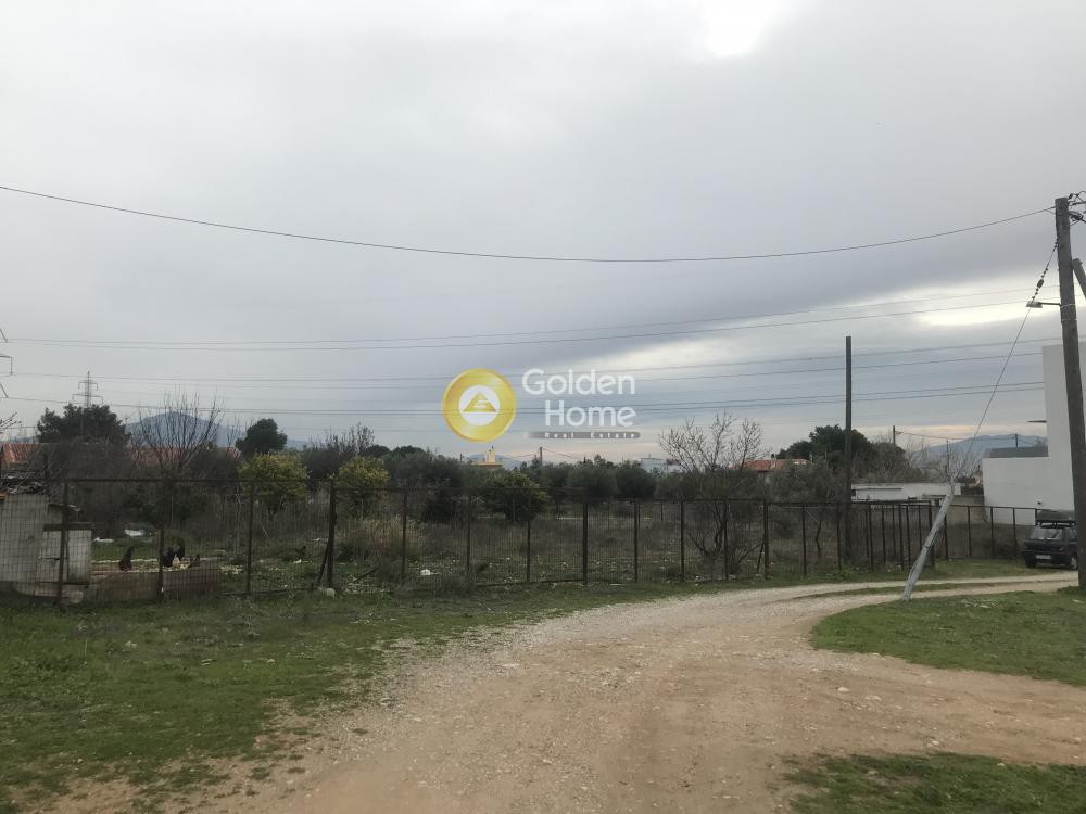 Αγροτεμάχια 1.196 τ.μ. προς πώληση, Μεγάλα Σχοινία Β
