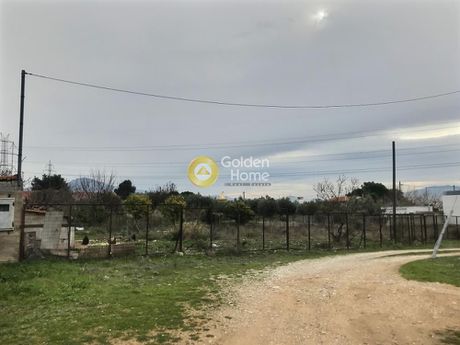 Αγροτεμάχια 1.196τ.μ. για πώληση-Αχαρνές » Μεγάλα σχοινία β