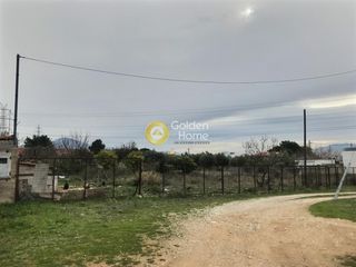 Αγροτεμάχια 1.196 τ.μ. για πώληση