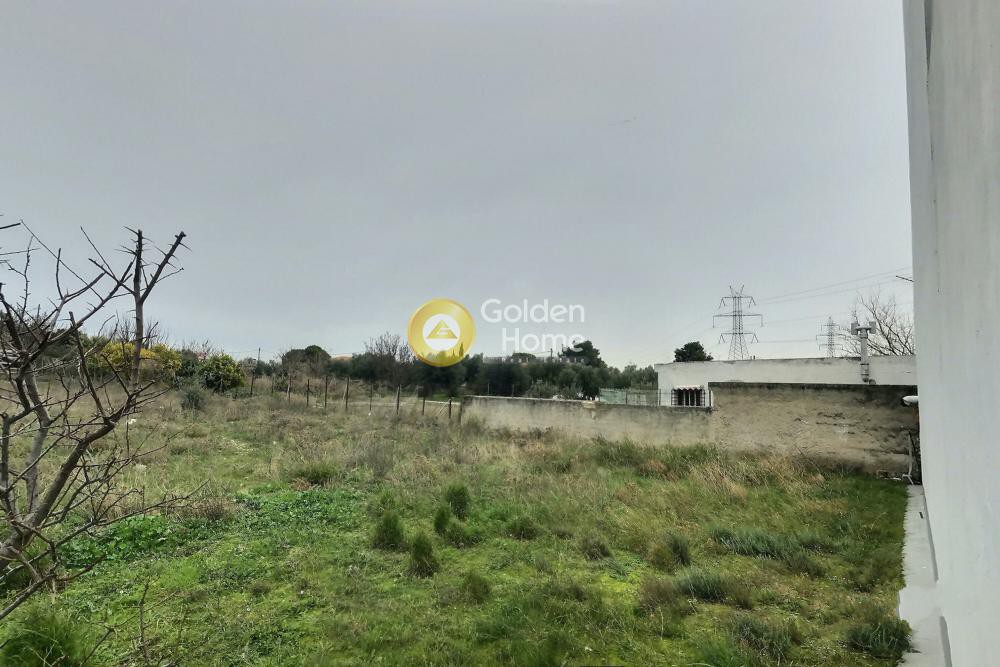Αγροτεμάχια 1.196 τ.μ. προς πώληση, Μεγάλα Σχοινία Β