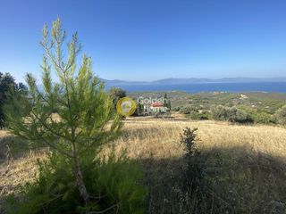 Οικόπεδο 3.804 τ.μ. για πώληση, Εύβοια, Μεσσαπία-thumb-11
