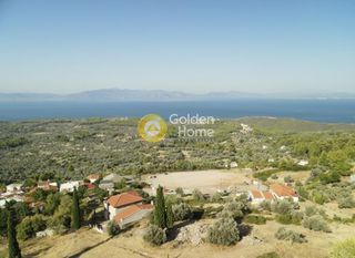 Οικόπεδο 3.804 τ.μ. για πώληση, Εύβοια, Μεσσαπία-thumb-2