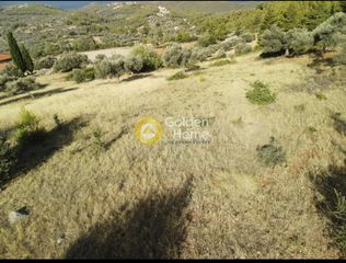 Οικόπεδο 3.804 τ.μ. για πώληση, Εύβοια, Μεσσαπία-thumb-25