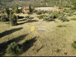 Οικόπεδο 3.804 τ.μ. για πώληση, Εύβοια, Μεσσαπία-thumb-24