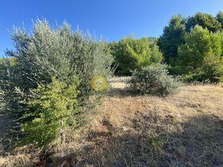 Οικόπεδο 3.804 τ.μ. για πώληση, Εύβοια, Μεσσαπία-thumb-15