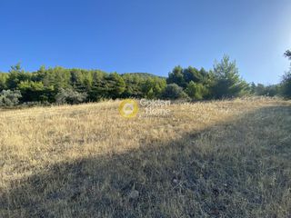 Οικόπεδο 3.804 τ.μ. για πώληση, Εύβοια, Μεσσαπία-thumb-19