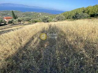 Οικόπεδο 3.804 τ.μ. για πώληση, Εύβοια, Μεσσαπία-thumb-8