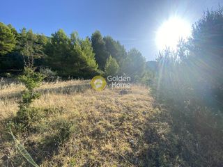 Οικόπεδο 3.804 τ.μ. για πώληση, Εύβοια, Μεσσαπία-thumb-16