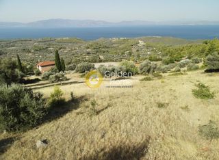 Οικόπεδο 3.804 τ.μ. για πώληση, Εύβοια, Μεσσαπία-thumb-3