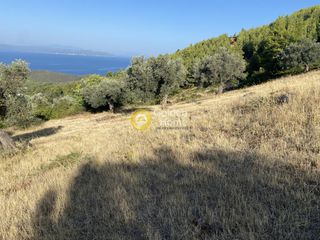 Οικόπεδο 3.804 τ.μ. για πώληση, Εύβοια, Μεσσαπία-thumb-20