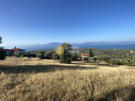 Οικόπεδο 3.804τ.μ. για πώληση-Μεσσαπία » Νεροτριβιά
