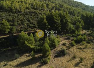 Οικόπεδο 3.804 τ.μ. για πώληση, Εύβοια, Μεσσαπία-thumb-27