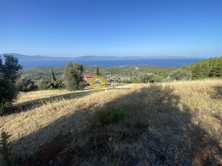 Οικόπεδο 3.804 τ.μ. για πώληση, Εύβοια, Μεσσαπία-thumb-4
