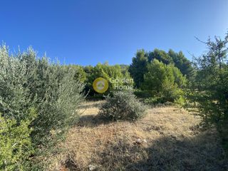 Οικόπεδο 3.804 τ.μ. για πώληση, Εύβοια, Μεσσαπία-thumb-12