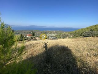 Οικόπεδο 3.804 τ.μ. για πώληση, Εύβοια, Μεσσαπία-thumb-9