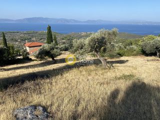 Οικόπεδο 3.804 τ.μ. για πώληση, Εύβοια, Μεσσαπία-thumb-7