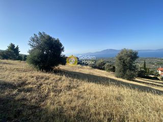 Οικόπεδο 3.804 τ.μ. για πώληση, Εύβοια, Μεσσαπία-thumb-18