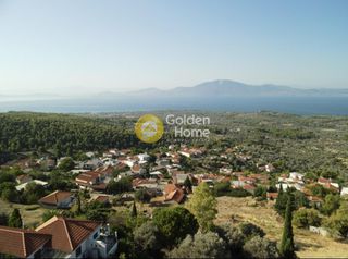 Οικόπεδο 3.804 τ.μ. για πώληση, Εύβοια, Μεσσαπία-thumb-1