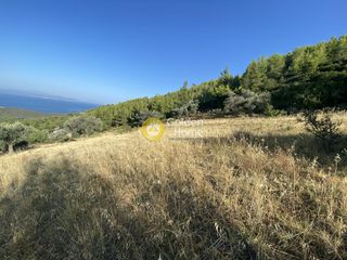 Οικόπεδο 3.804 τ.μ. για πώληση, Εύβοια, Μεσσαπία-thumb-14