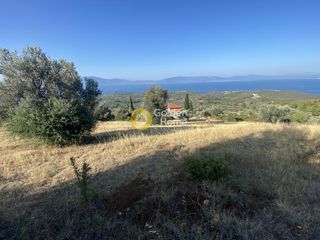 Οικόπεδο 3.804 τ.μ. για πώληση, Εύβοια, Μεσσαπία-thumb-10