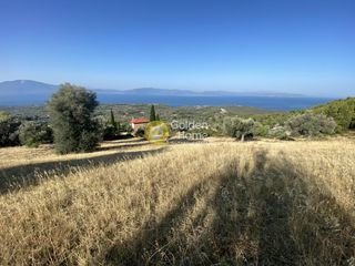 Οικόπεδο 3.804 τ.μ. για πώληση, Εύβοια, Μεσσαπία-thumb-6