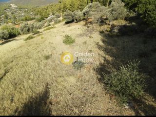 Οικόπεδο 3.804 τ.μ. για πώληση, Εύβοια, Μεσσαπία-thumb-23