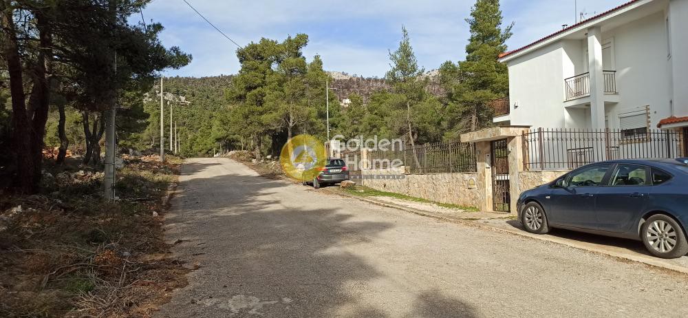 Οικόπεδο 2.077 τ.μ. προς πώληση, Αγία Τριάδα Αφιδνών