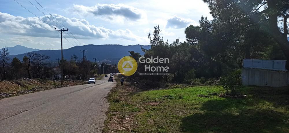 Οικόπεδο 2.077 τ.μ. προς πώληση, Αγία Τριάδα Αφιδνών