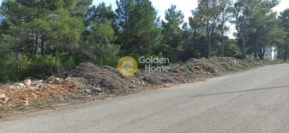 Οικόπεδο 2.077 τ.μ. προς πώληση, Αγία Τριάδα Αφιδνών