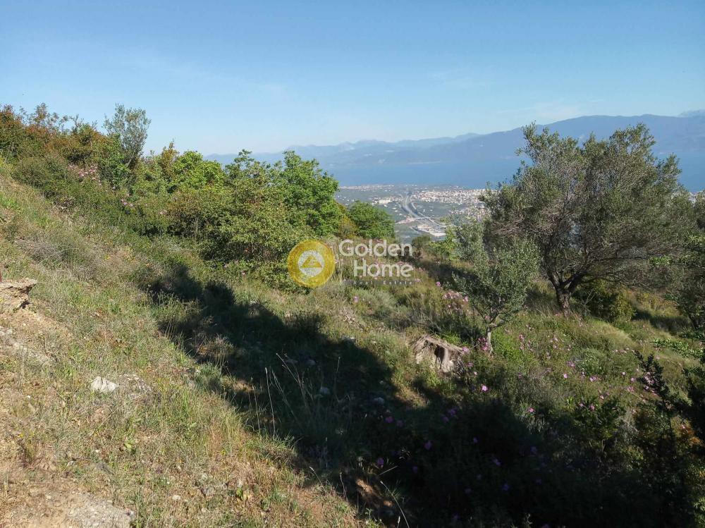 Αγροτεμάχια 2.318 τ.μ. προς πώληση, Σελινούντας