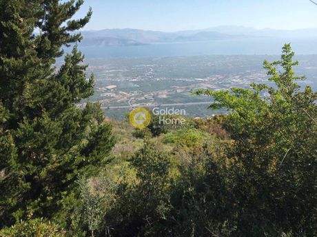 Αγροτεμάχια 2.318τ.μ. για πώληση-Αίγιο » Σελινούντας