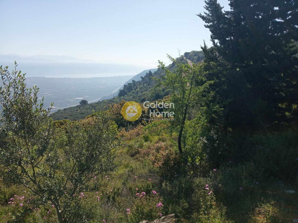 Αγροτεμάχια 2.318 τ.μ. προς πώληση, Σελινούντας