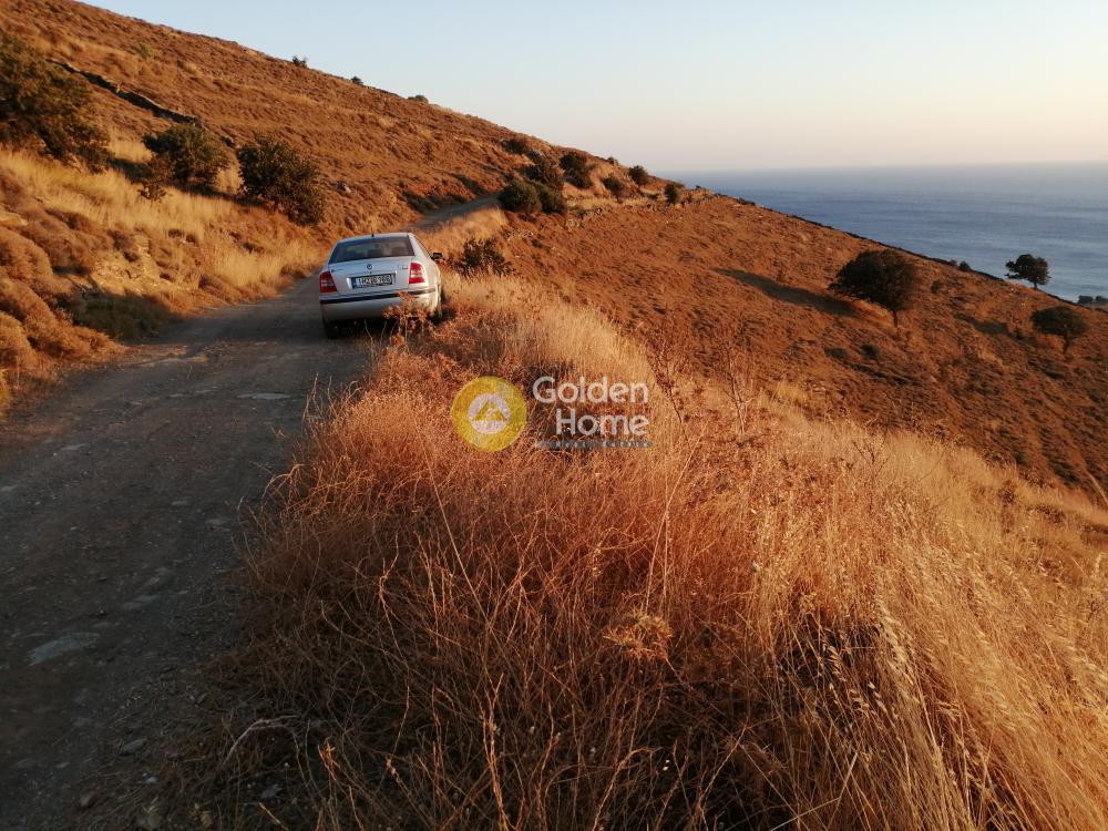 Αγροτεμάχια 8.863 τ.μ. προς πώληση, Άγιος Νικόλαος Νύχι