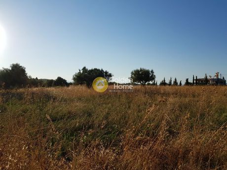 Αγροτεμάχια 30.000 τ.μ. για πώληση
