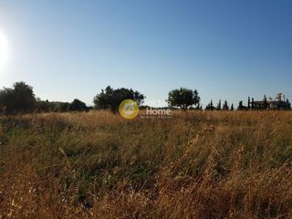 Αγροτεμάχια 30.000 τ.μ. για πώληση