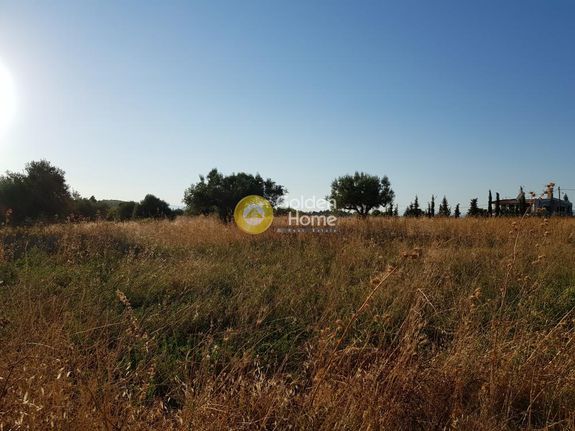 Αγροτεμάχια 30.000 τ.μ. για πώληση, Αττική - Υπόλοιπο, Ωρωπός