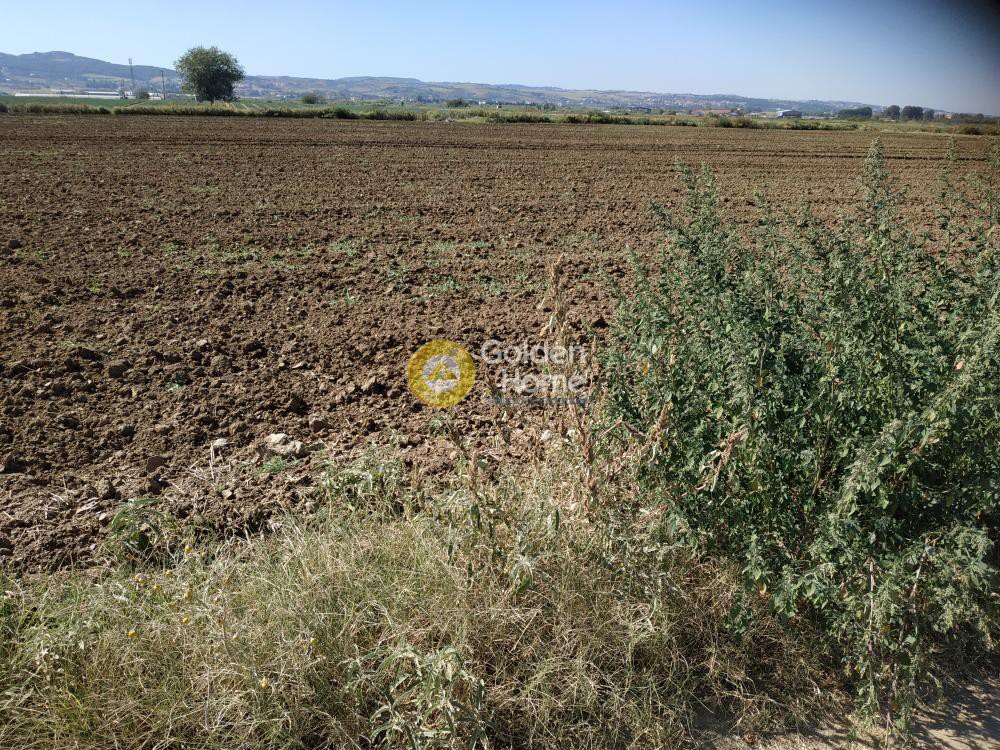 Αγροτεμάχια 5.750 τ.μ. προς πώληση, Νέα Ραιδεστός