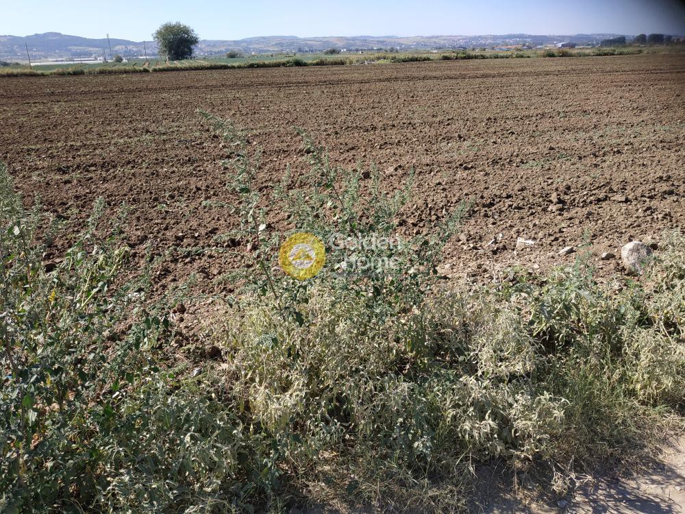 Αγροτεμάχια 5.750 τ.μ. προς πώληση, Νέα Ραιδεστός