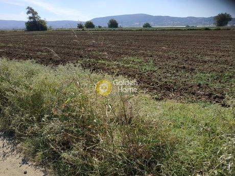 Αγροτεμάχια 5.750τ.μ. για πώληση-Θέρμη » Νέα ραιδεστός