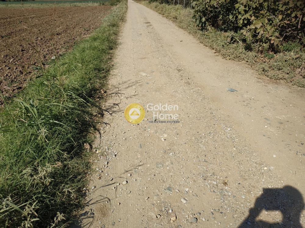 Αγροτεμάχια 5.750 τ.μ. προς πώληση, Νέα Ραιδεστός