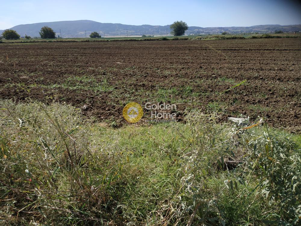 Αγροτεμάχια 5.750 τ.μ. προς πώληση, Νέα Ραιδεστός